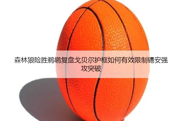 森林狼险胜鹈鹕复盘戈贝尔护框如何有效限制锡安强攻突破