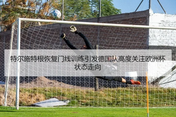 特尔施特根恢复门线训练引发德国队高度关注欧洲杯状态走向